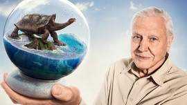 Vì sao loài người đang tiến hóa sinh học để sống thọ hơn 100 tuổi?