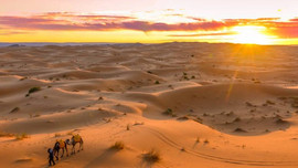 10 sự thật thú vị về sa mạc Sahara