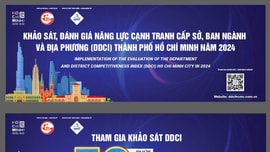 TP. Hồ Chí Minh triển khai khảo sát DDCI năm 2024