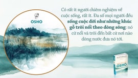 Đường vào thiền – Osho: Những gì tồi tệ có thể được chuyển hóa thành thứ thơm ngát