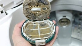Những vật dụng thiết yếu hàng ngày trông có vẻ sạch sẽ, nhưng thực tế còn “bẩn hơn cả bồn cầu”