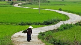 Tiếng Việt gọi tên nỗi lòng bằng một từ mà tiếng Anh chẳng thể đuổi kịp