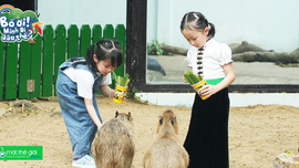 'Bố ơi, mình đi đâu thế?' trở lại: Nhiều khoảnh khắc 'đốn tim' khán giả