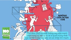 Không còn bệnh tim - Sức mạnh phi thường của phân tử NO kỳ diệu