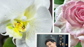 Chàng trai làm hoa bằng bánh kem 'thật còn hơn cả hoa thật'