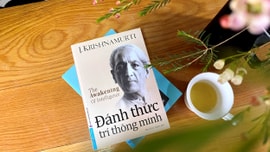 Đánh thức trí thông minh - Tại sao ta phải mơ?