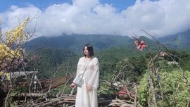 Cô gái Phú Thọ mất tay chân, 'hồi sinh' nhờ tình yêu của mẹ