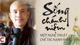 Trụ trì Làng Mai: Xuất gia không có nghĩa là buông bỏ thế giới, sống ẩn dật!