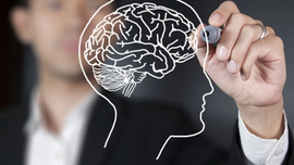 4 cách phát triển não bộ, giúp IQ tăng vun vút, trở nên nhạy bén hơn