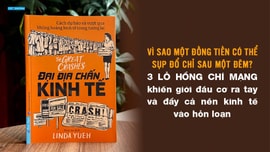 Đại địa chấn kinh tế - Vì sao một đồng tiền có thể sụp đổ chỉ sau một đêm?