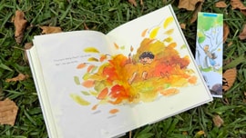 Tiến vào đồng cỏ hoang - Vùng đất chưa được khám phá