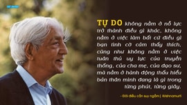 Đôi điều cần suy ngẫm - Tự do, khởi nguồn của trí tuệ