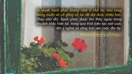 Tái thiết cuộc đời từ những lựa chọn rất nhỏ