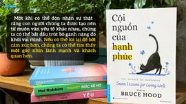 Liệu những gì ta đang tự trách… có thật sự do ta quyết định?