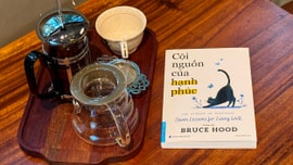 Cội nguồn của hạnh phúc - Đại minh tinh đang khóc hay đang cười?