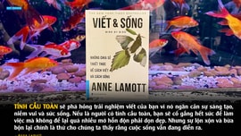 Không phải bạn viết dở. Bạn đang để “tính cầu toàn” giữ mình đứng yên