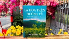 Lá hoa trên đường về