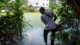 Động vật nguy hiểm nhất thế giới giết chết hơn 1.000.000 người mỗi năm