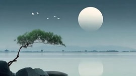 Một quy tắc bất di bất dịch trong cuộc sống: Không ai dám động đến bạn!