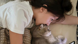 Vì sao biết mai phải dậy sớm mà tối nay vẫn không muốn đi ngủ?